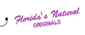 Printed Clothing Hang Tag